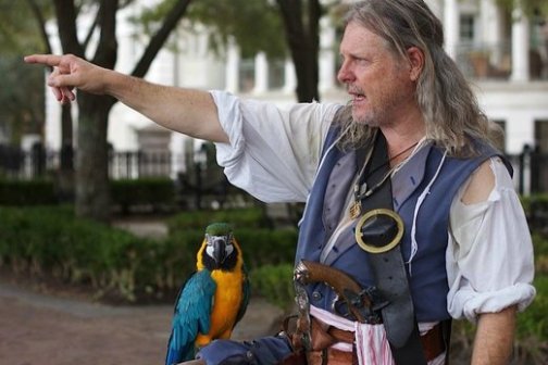 pirate with a parrot